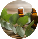 Eucalyptus-oil